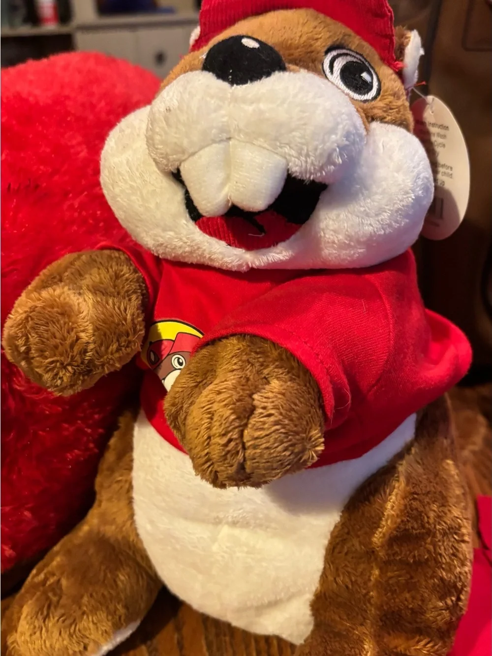 Buccee’s Bundle:pillow pet, stuffy NWT, and mini bucket